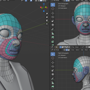 Isabella Face Topology